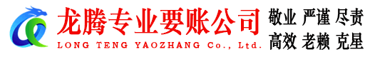 宜秀龙腾清债公司